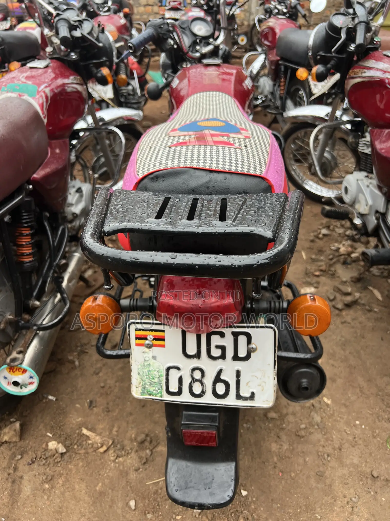 TVS HLX 125 2024 Red