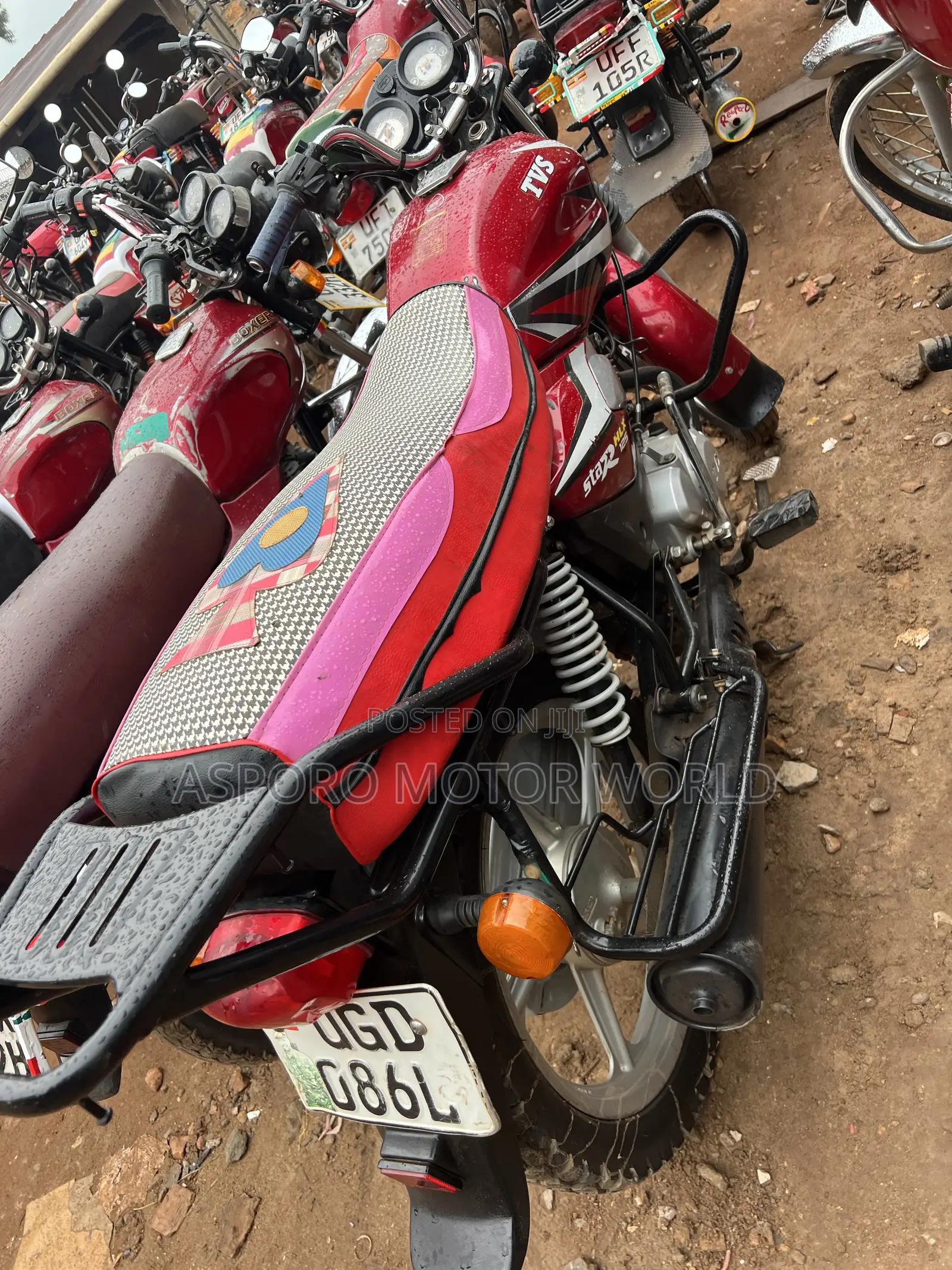 TVS HLX 125 2024 Red