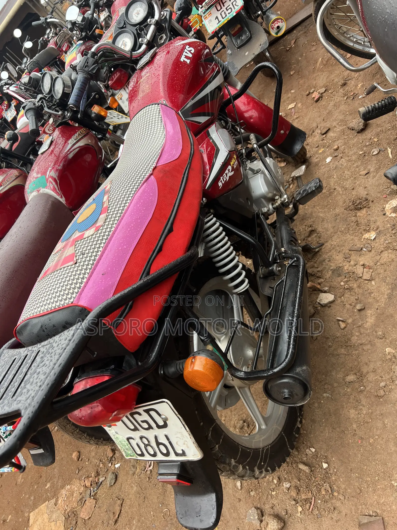 TVS HLX 125 2024 Red