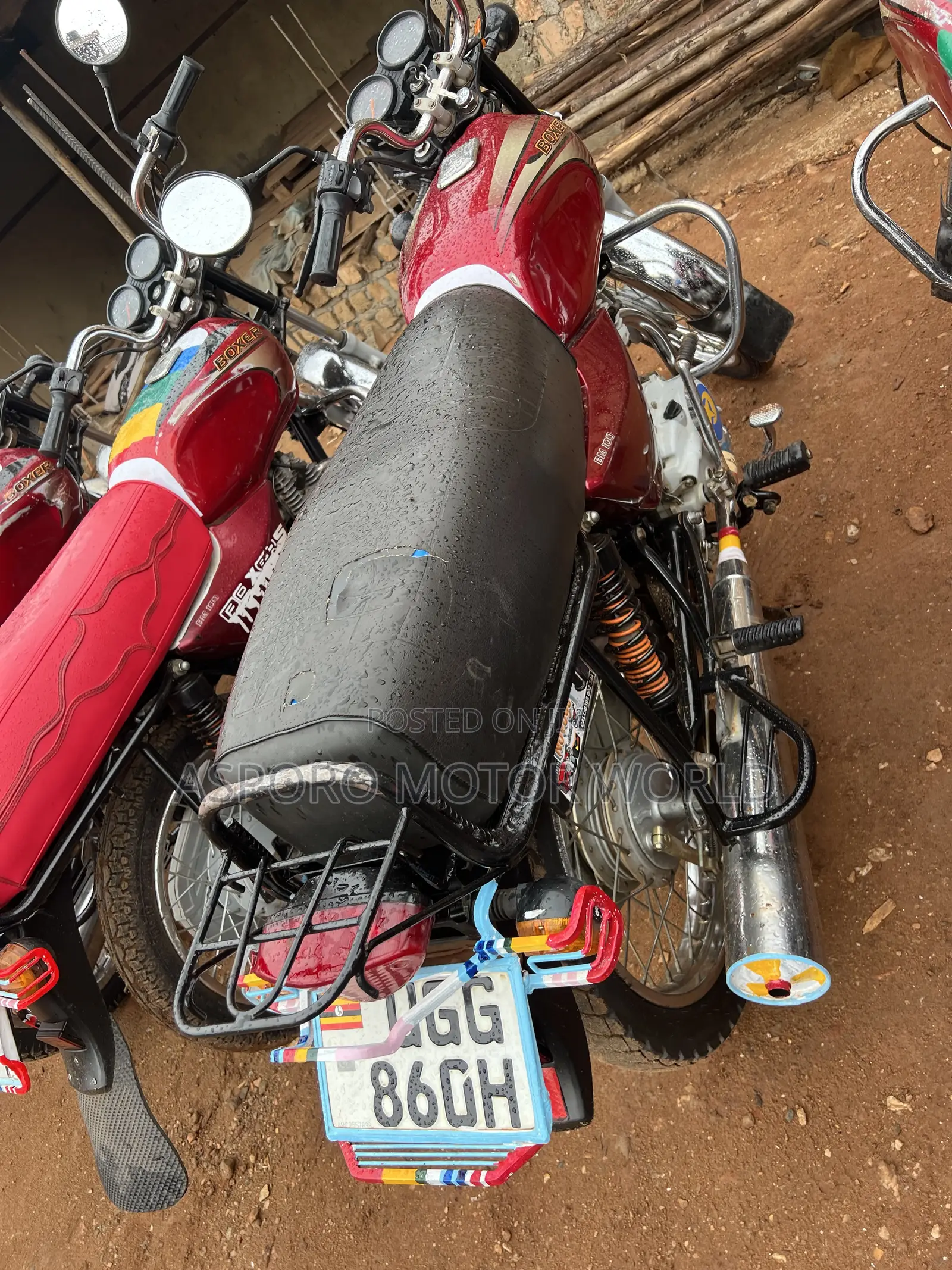 Bajaj Boxer 100 2024 Red