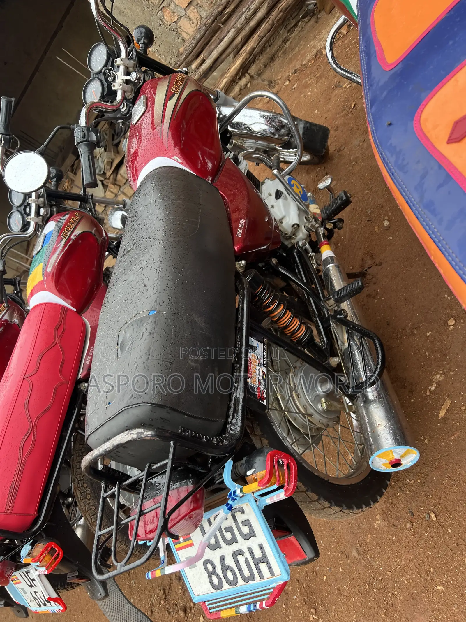 Bajaj Boxer 100 2024 Red