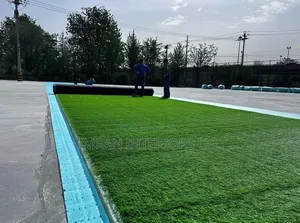 Quality Artificial Grass Carpets in Dark Color