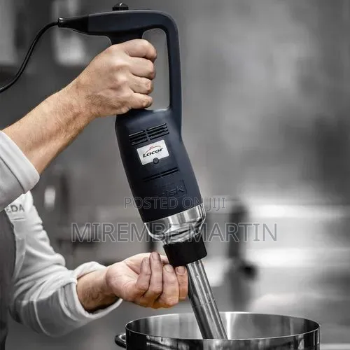 Lacor Brick Whisk Brisk Professional Hand Blender Mixer