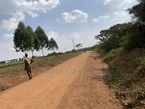 Farm Land for Sale