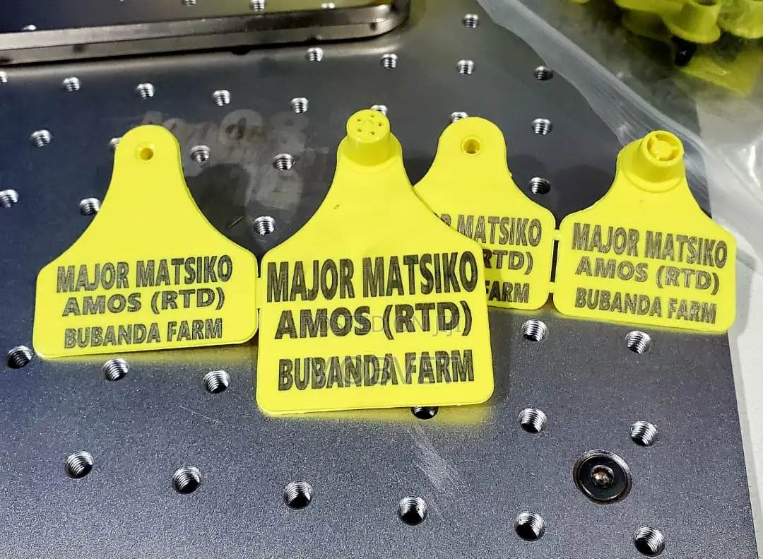 Customised Double Livestock Ear Tags – Durable Animal ID Solution