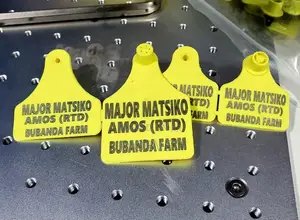 Customised Double Livestock Ear Tags – Durable Animal ID Solution