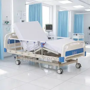 Electric Bed 3 Function Cc4