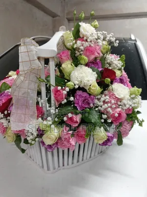 Kwaula Basket
