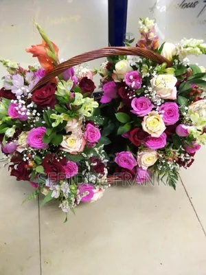 Kwaula Basket