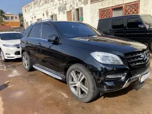 Mercedes-Benz M Class 2015 Black