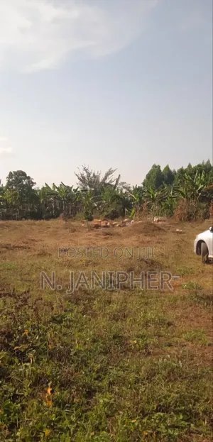 Grab 10plots (50*100ft ) at Kanyanda, Matuga Road Private Mailo Land
