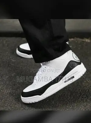 Air Jordan 3 Fragments