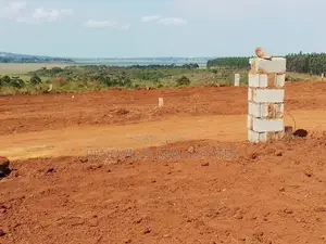 New Estate in Buwaya Sazi Measuring 12 Decimals, Near Road