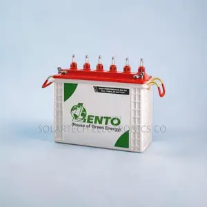 Lento 100Ah 12V Tubular Battery Ideal for Solar Power System NTS