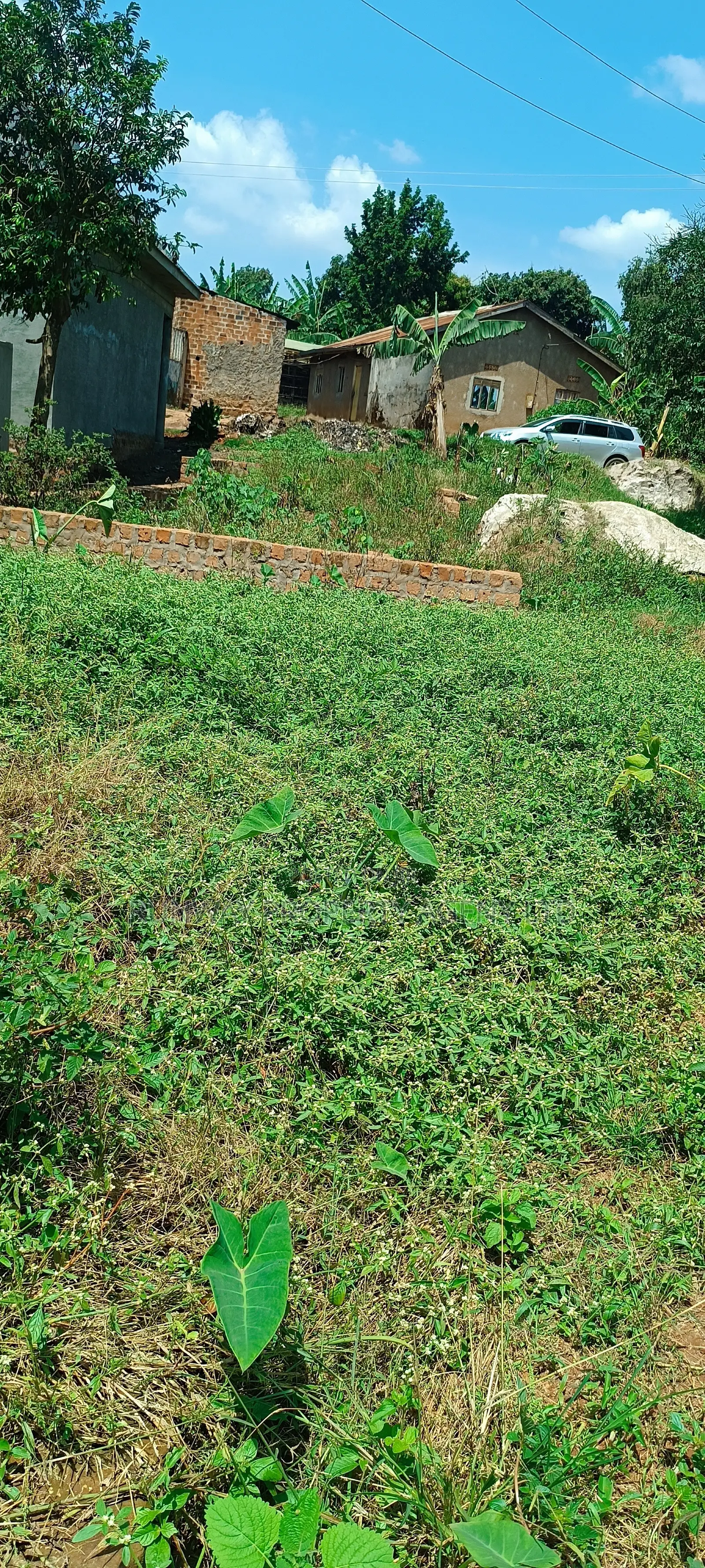 Plot for Sale