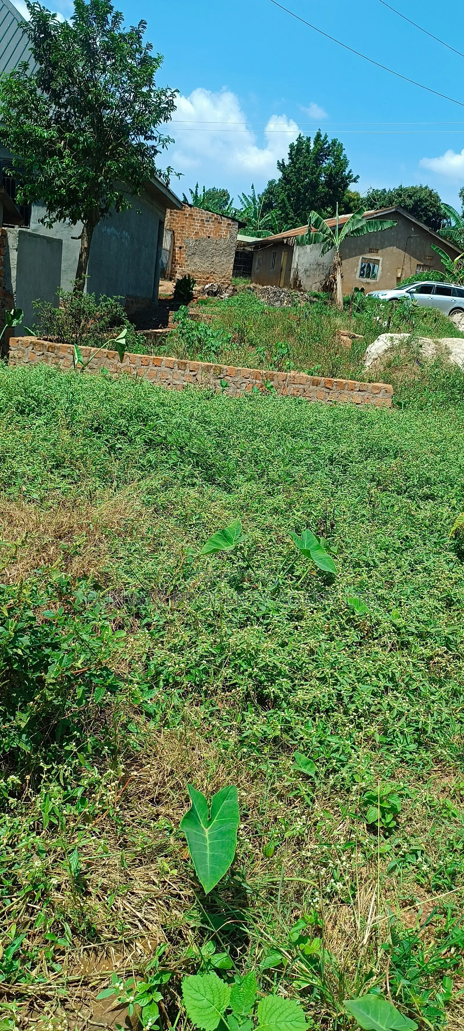Plot for Sale