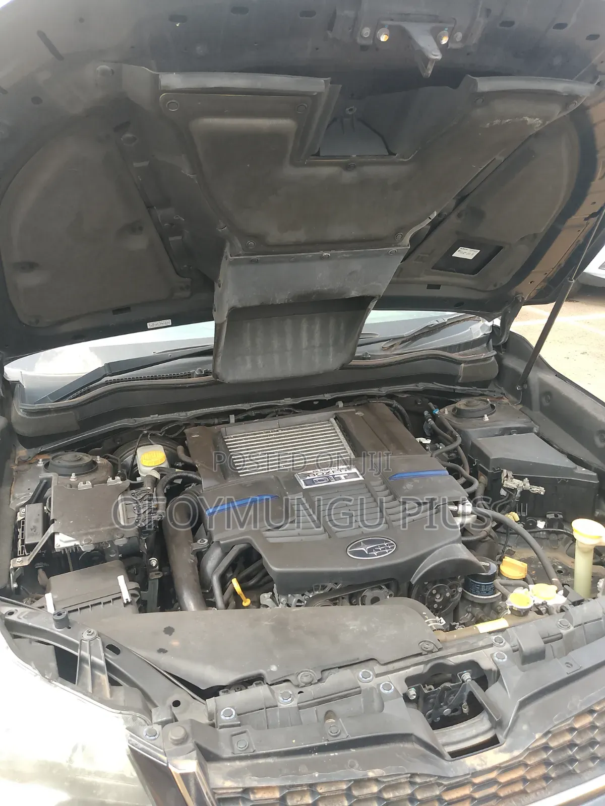 Subaru Forester 2013 Gray
