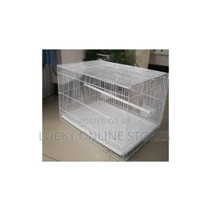 Bird Cage for Birds
