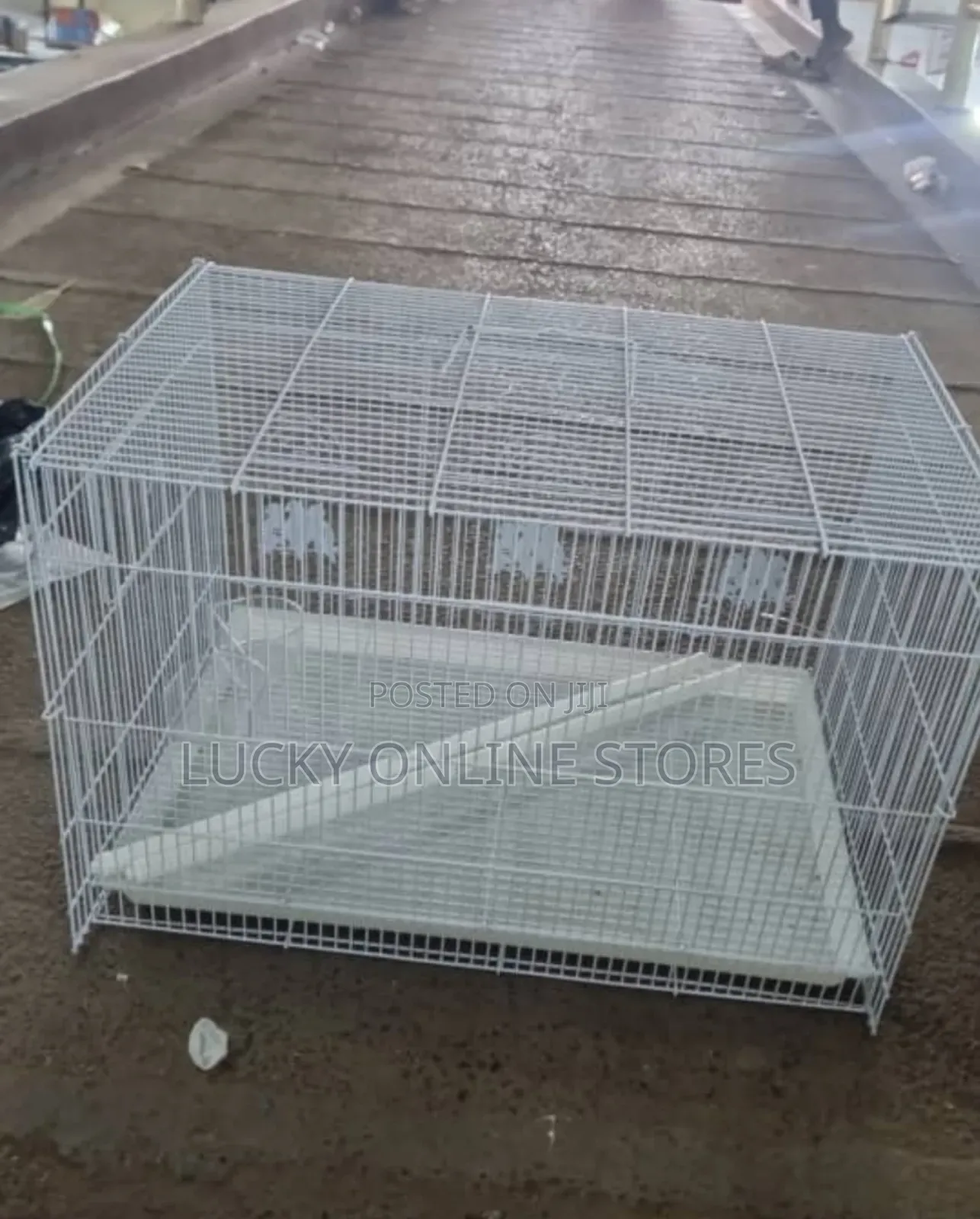 Bird Cage for Birds