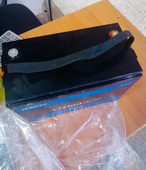 100ah/12volts Lithium Iron Phosphate Battery.