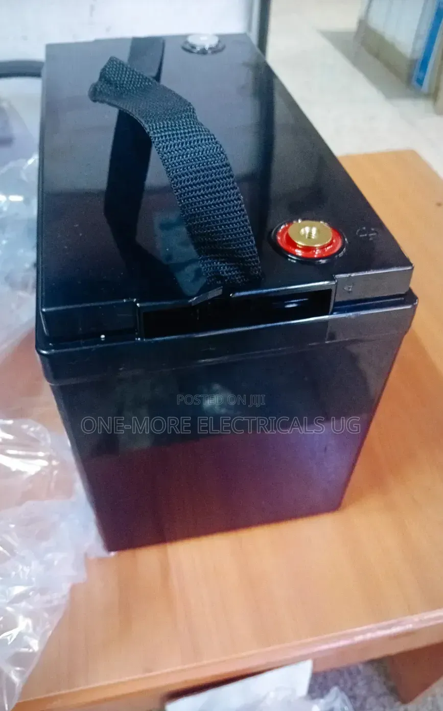 100ah/12volts Lithium Iron Phosphate Battery.