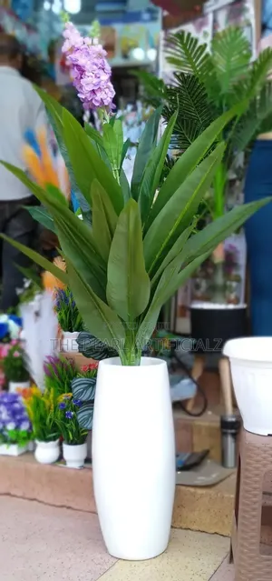 Artificial Indoor Plants