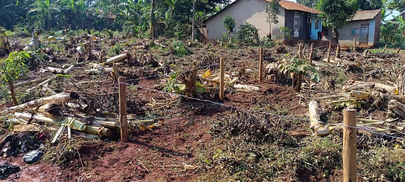 Plots for Sale