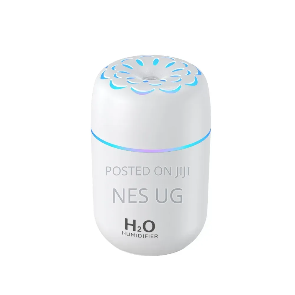 Portable Ultrasonic USB Humidifier Diffuser - White