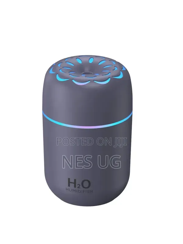 Portable Humidifier Diffuser - Gray