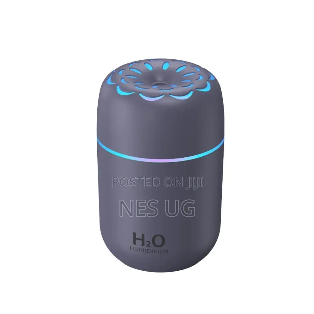 Portable Humidifier Diffuser - Gray