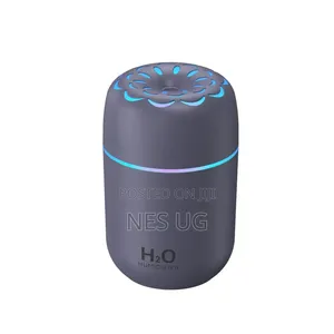 Portable Humidifier Diffuser - Gray