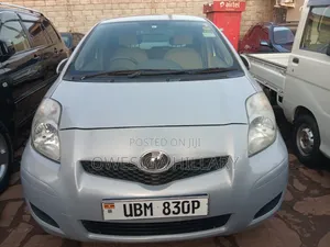 Vector Wiegert 2008 Silver