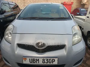 Vector Wiegert 2008 Silver