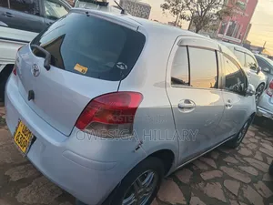 Vector Wiegert 2008 Silver