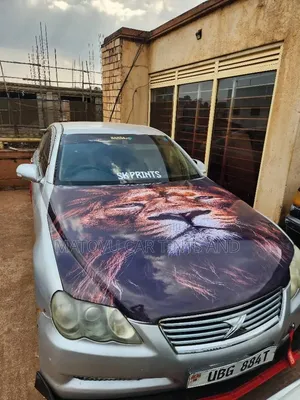 Denis Car Body Stickers