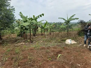 1.8acres of Agricultural Land on Sale in Kyenjojo District