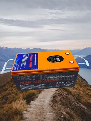 250ah LC Star Lithium Battery for Solar Backup Power MAV