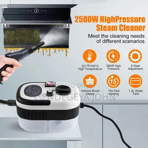 Portable Steam Cleaner