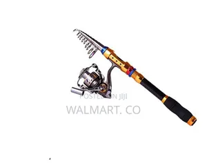 Complete Fishing Gear Kit With Rod Reel Hooks and Line