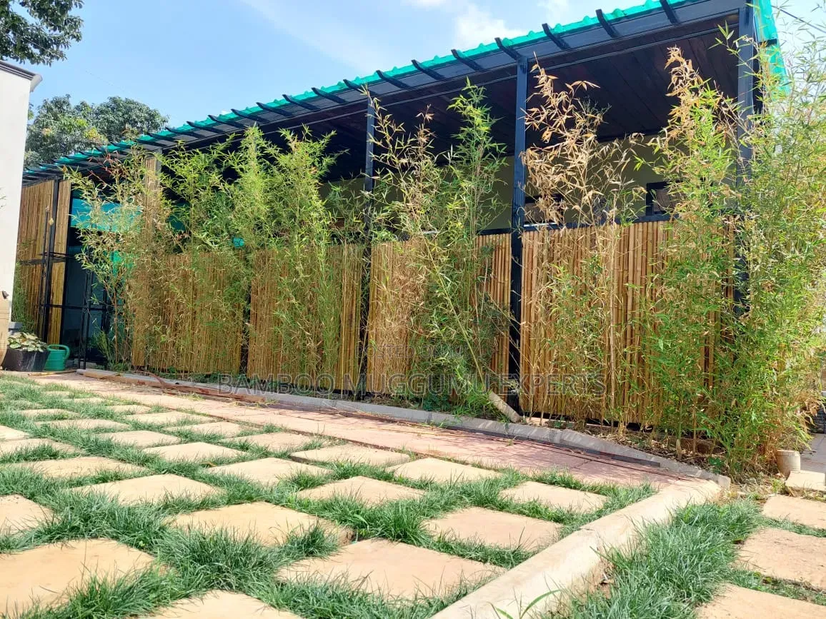 Bamboo Privacy Wing