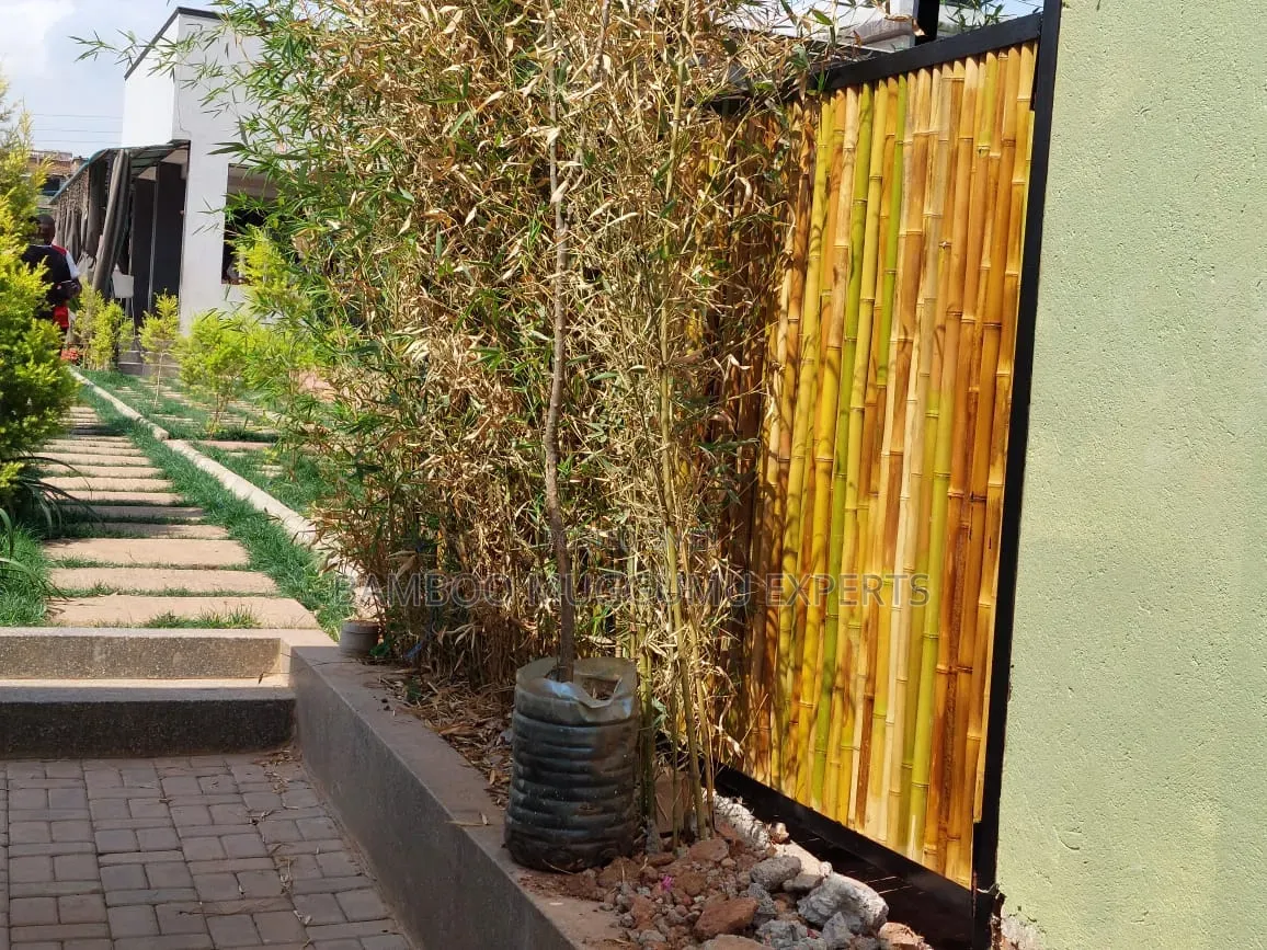 Bamboo Privacy Wing