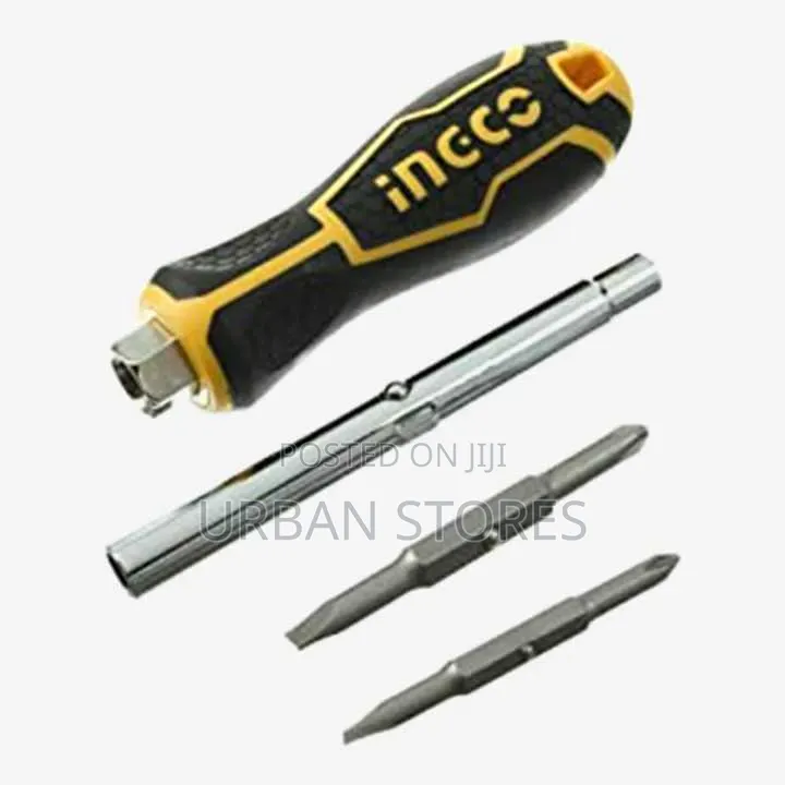 2-in-1 Screwdriver Featuring Interchangeable Tips