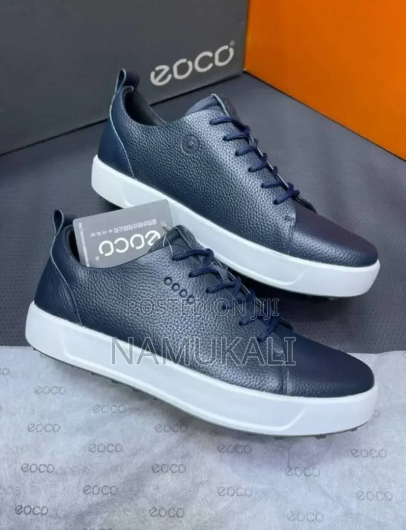 My Shoe Guy