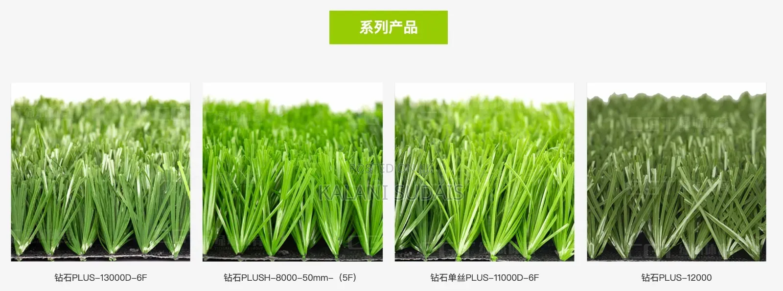 Grass Carpets