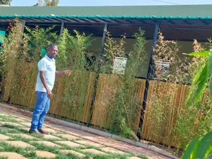 Bamboo Works