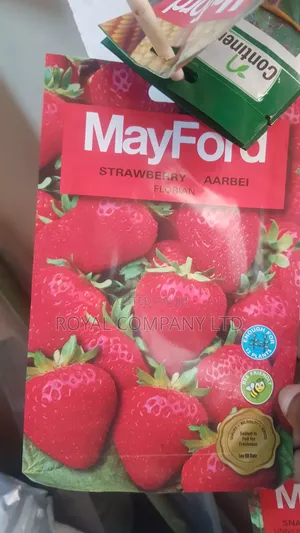 Strawberry Seeds/ 12seeds