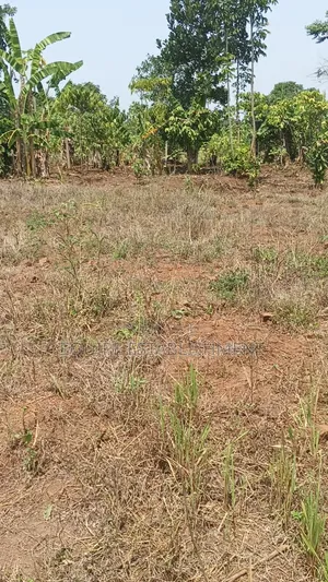 Kibanja Kikandwa