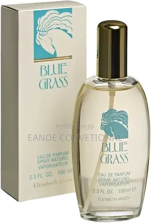 Blue Glass by Elizabeth Arden 100mls