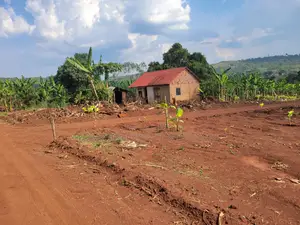 *Namayumba-Kyasa Estate 100by50fts at 8m-10m Private Mailoland Title*
