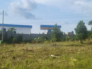 Prime Plots at Namayumba